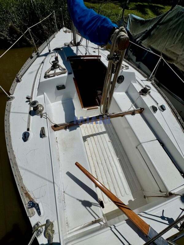 velero Limbo 21 con motor Parsun 9.8hp. Ideal primer barco. en venta en @mianibarcos