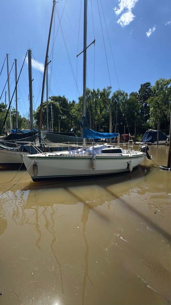 velero Limbo 21 con motor Parsun 9.8hp. Ideal primer barco. en venta en @mianibarcos