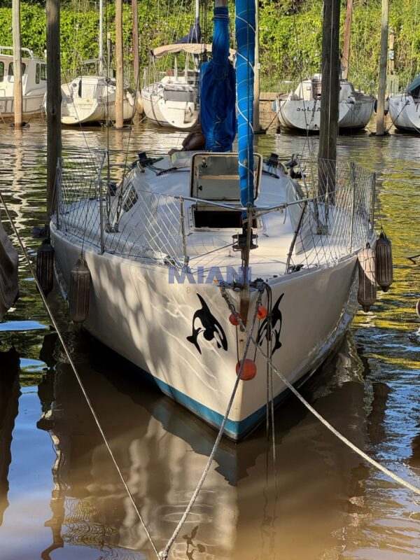 velero Plenamar 24 con Honda 10hp 4T. en venta @mianibarcos