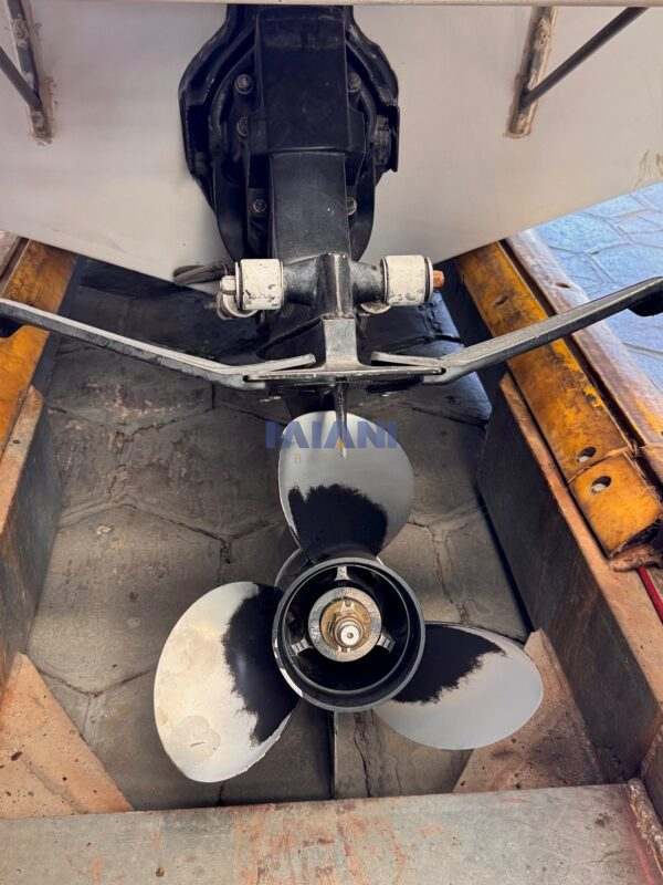 lancha chris craft Scorpion 210 (1990) con Mercruiser 260hp. en venta @mianibarcos