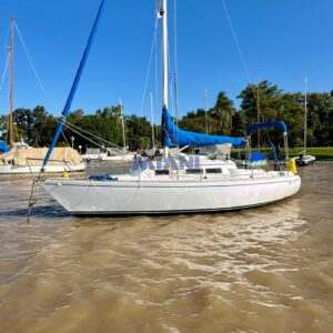 Roy 26. en venta @mianibarcos. amarra en San Fernando. vista general en amarra.